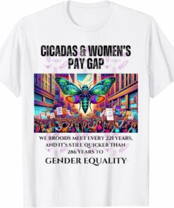 Broods Meet every 221 years, Gender Equality Wait Longer T-Shirt